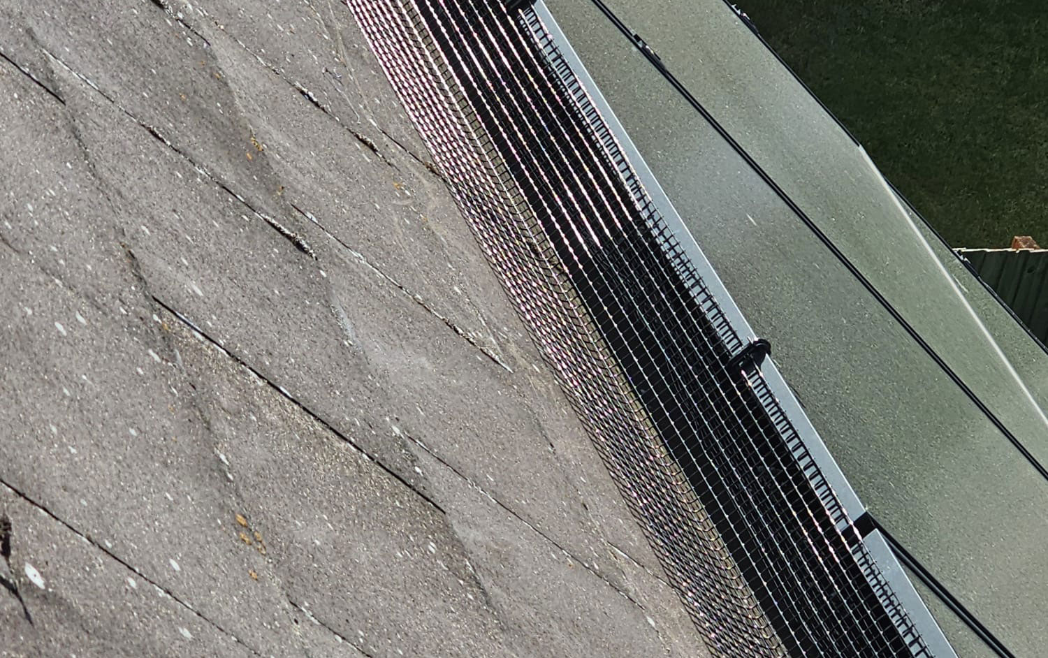 Protecting Solar Panels From Pigeons in Stourbridge