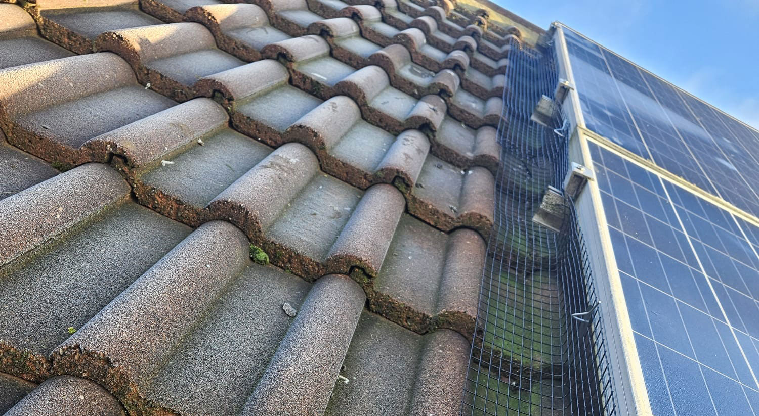 Protecting Solar Panels From Pigeons in Sutton-in-Ashfield