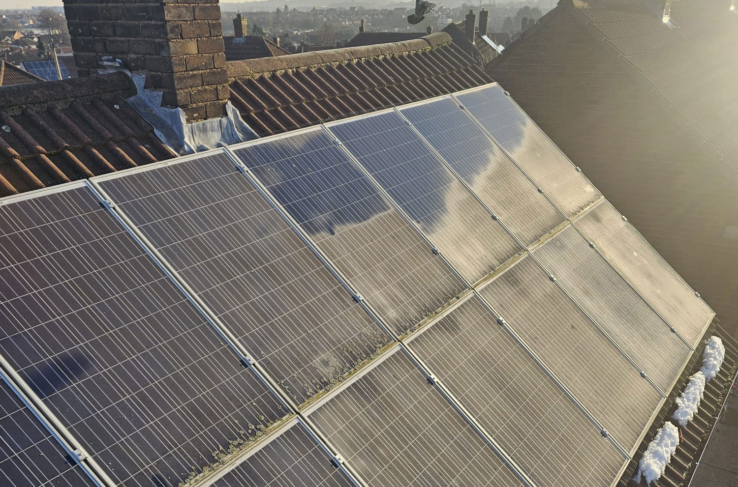 Protecting Solar Panels From Pigeons in Sutton-in-Ashfield