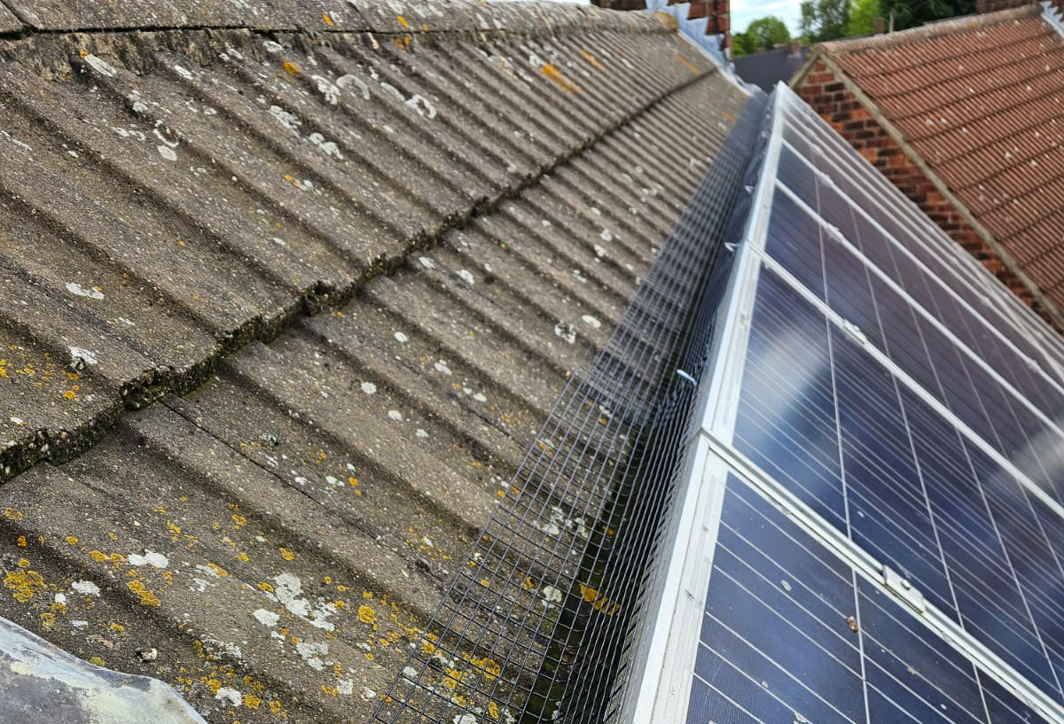 Protecting Solar Panels From Pigeons in Sutton-in-Ashfield