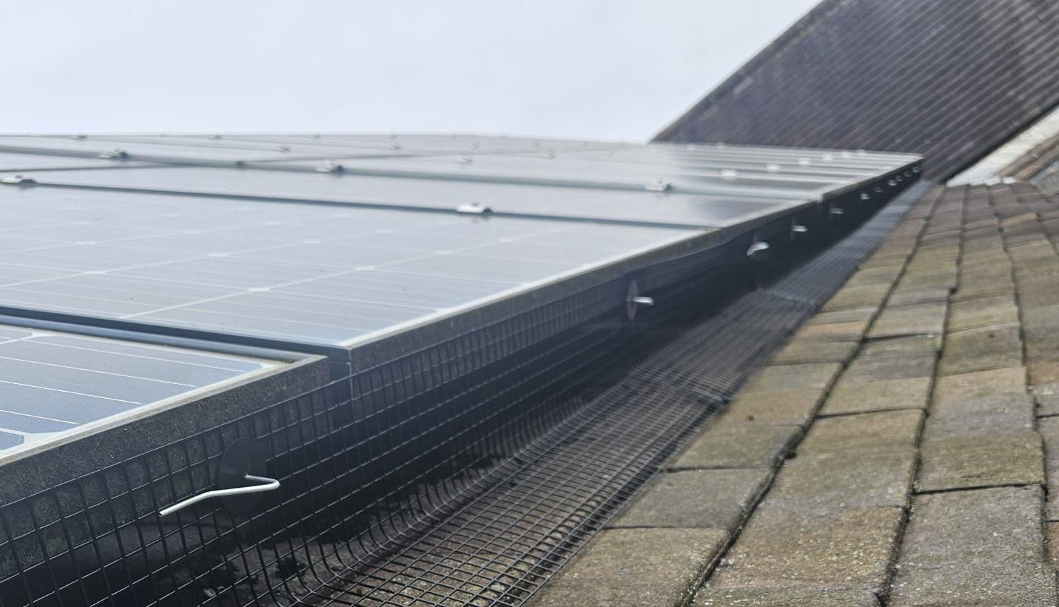 Protecting Solar Panels From Pigeons in Tollerton