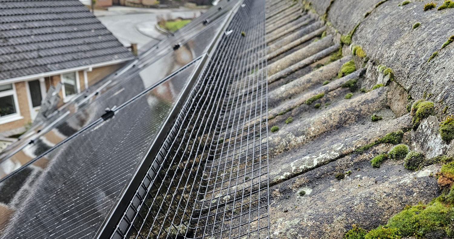 Solar Panels Protected from Pigeons in Toton