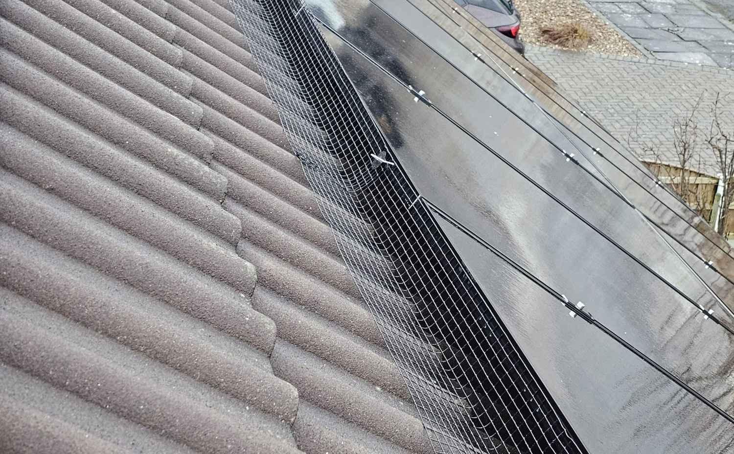 Solar Panels Protected from Pigeons in Toton