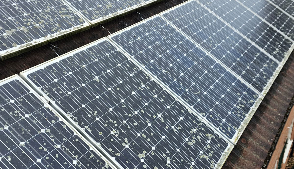 Protecting Solar Panels From Pigeons in Welton