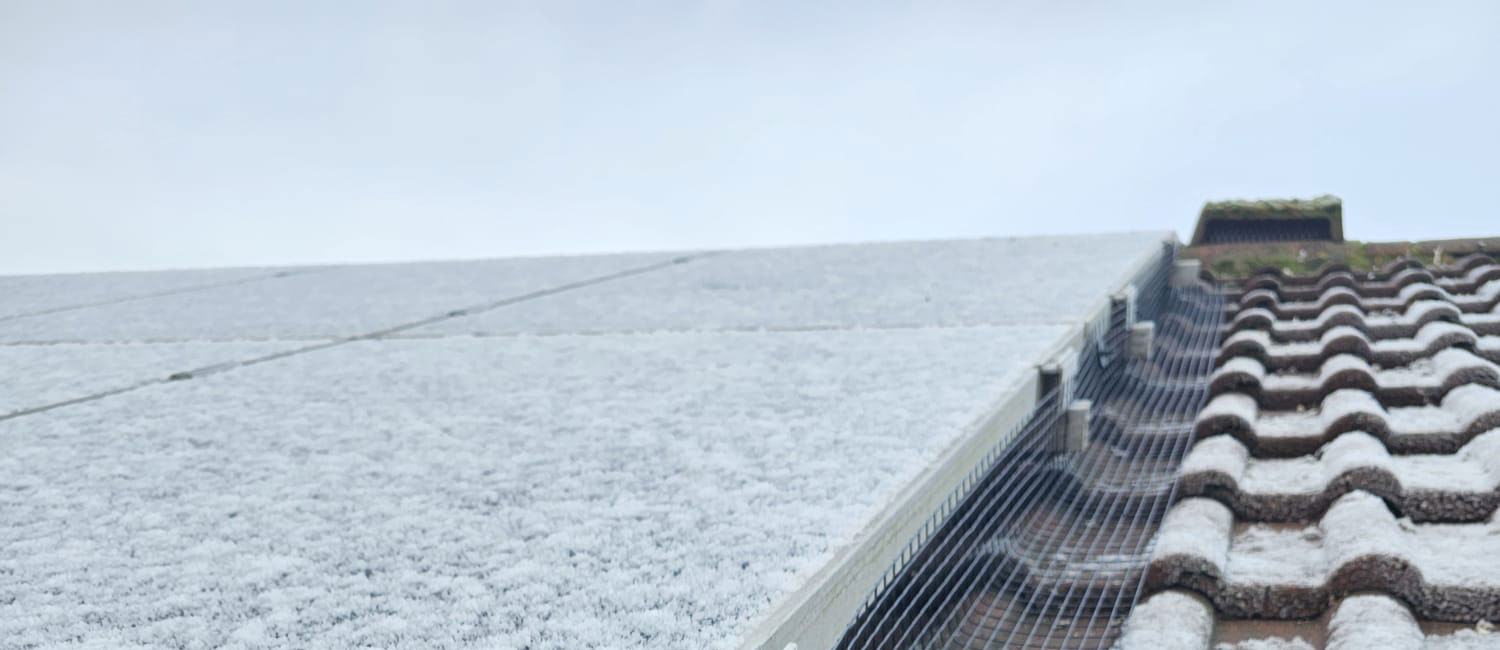 Protecting Solar Panels From Pigeons in West Hallam