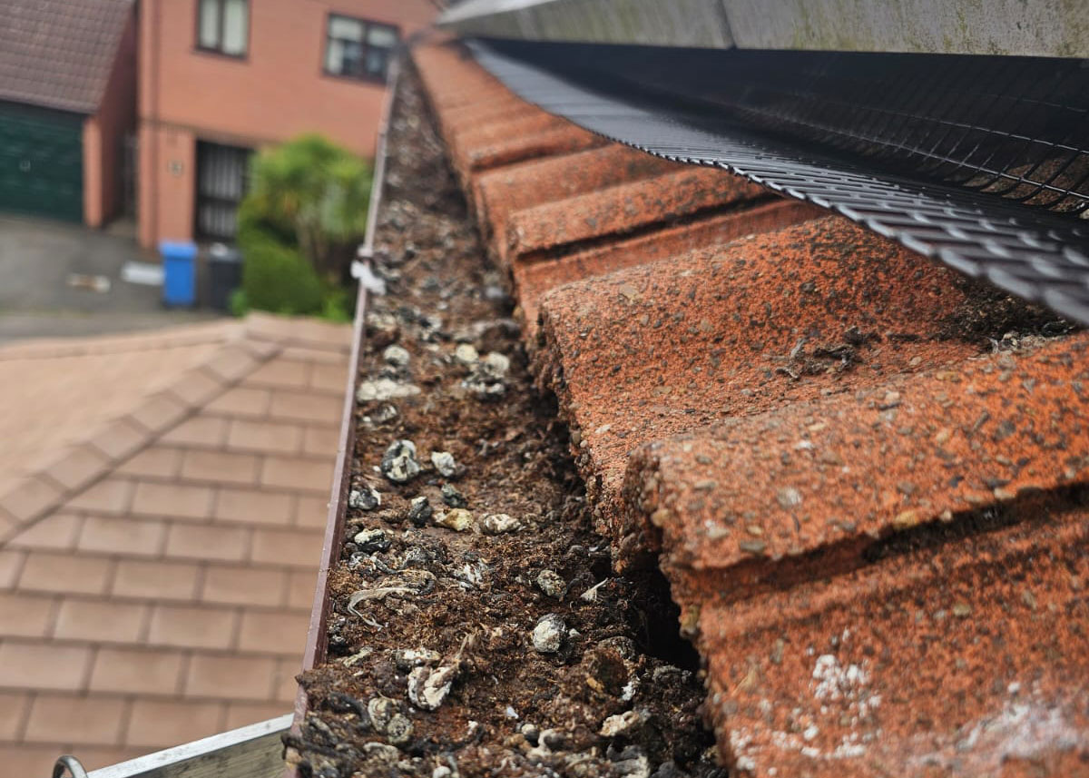 Protecting Solar Panels From Pigeons in West Hallam