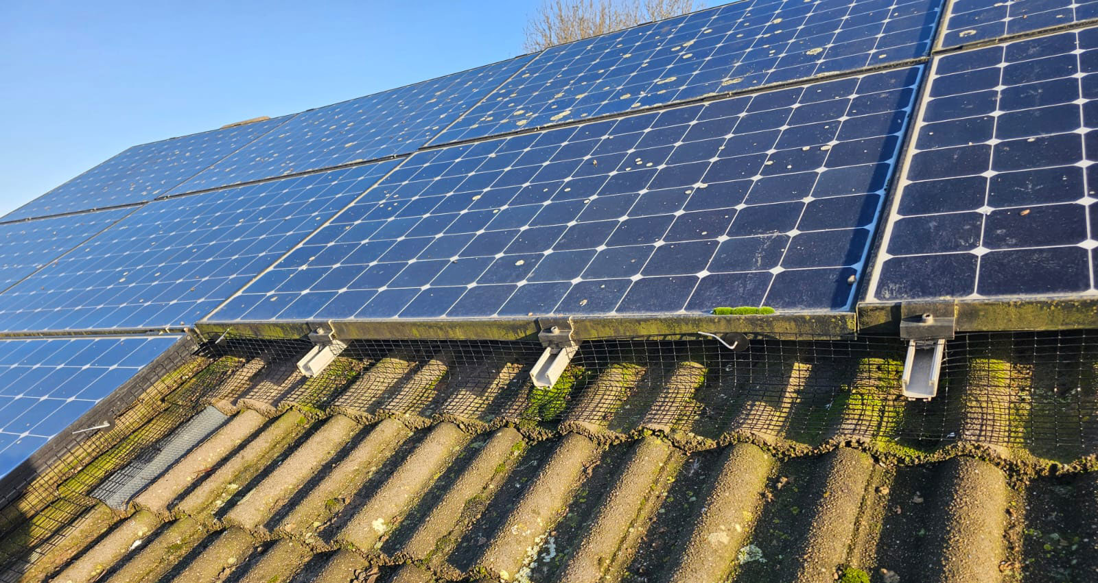 Protecting Solar Panels From Pigeons in Wigston, Leicester