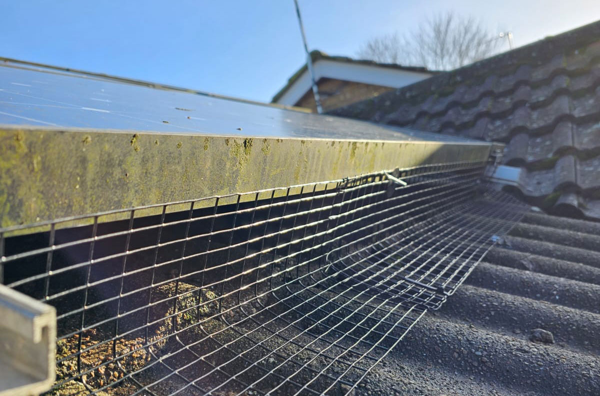 Protecting Solar Panels From Pigeons in Wigston, Leicester