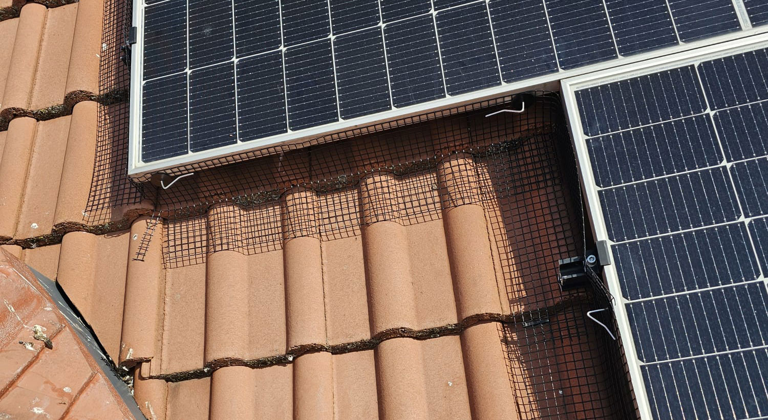 Protecting Solar Panels from Pigeons in Worksop