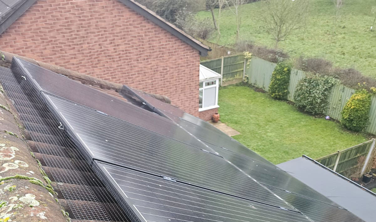 Pigeon Proofing Solar Panels in Mansfield Woodhouse