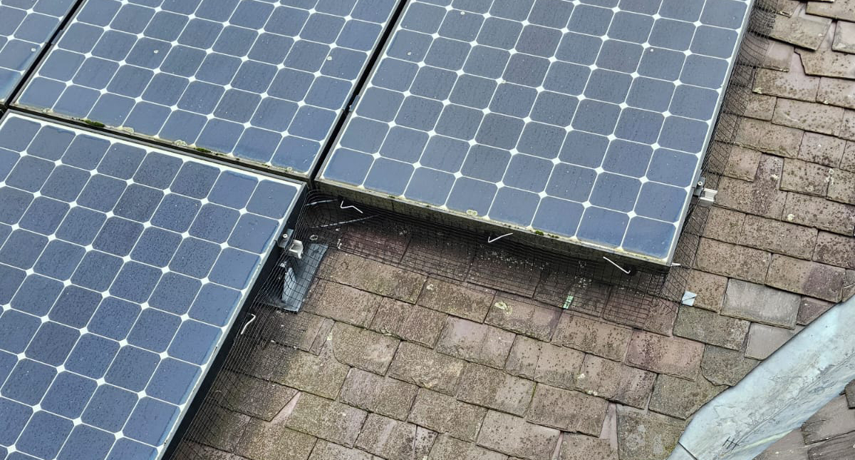 Protecting Solar Panels From Pigeons in Woodthorpe