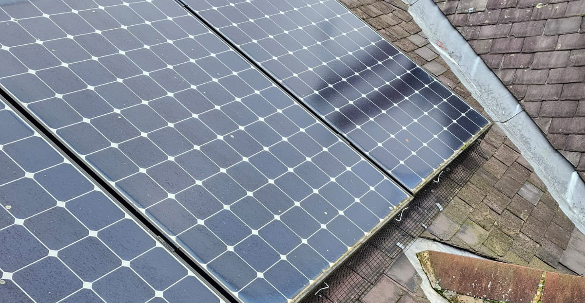Protecting Solar Panels From Pigeons in Woodthorpe